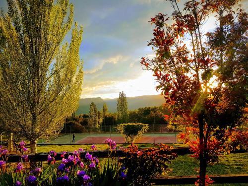 Hotel Val De Pinares