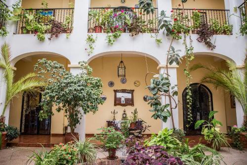 Hotel Val De Pinares