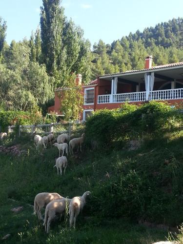 Hotel Val De Pinares