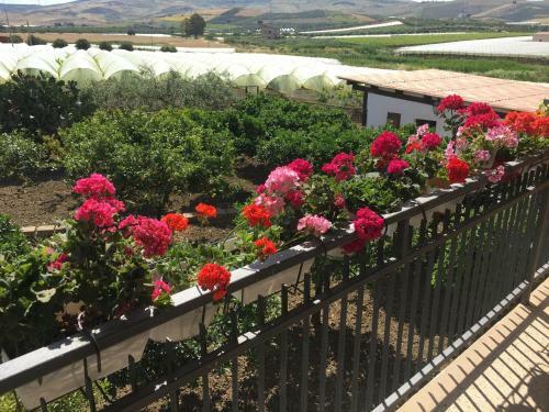 Agroturismo Tenuta De Francisci