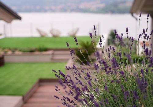 Bed & Breakfast The Lake House