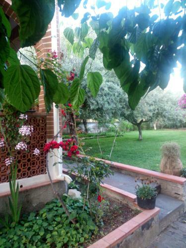 Agroturismo La Casa Dell'antiquario