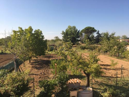 Tuscan Dream Casa Vacanze