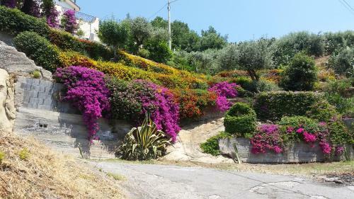Apartamento Bungalow In Villa Antheus