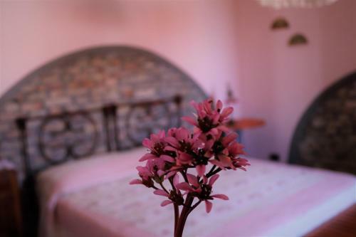 Agroturismo Il Caprifoglio