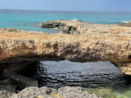 Hostal Dimora Terra Di Puglia