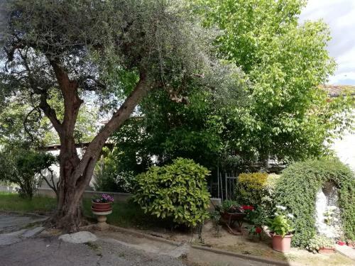 Apartamento Il Canto Dei Galli
