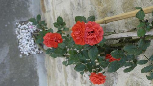 Bed & Breakfast Cit Ni