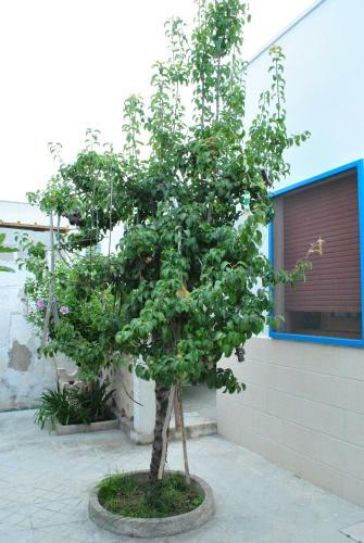 Apartamento Residenza Del Sole Mare
