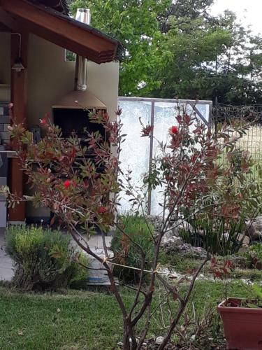 B&B A Casa Di Zia Luisa