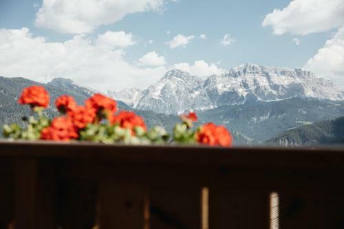 Chalet Rich