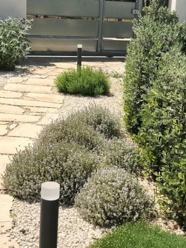 Apartamento Appartamenti San Lorenzo Marzamemi Cecilia