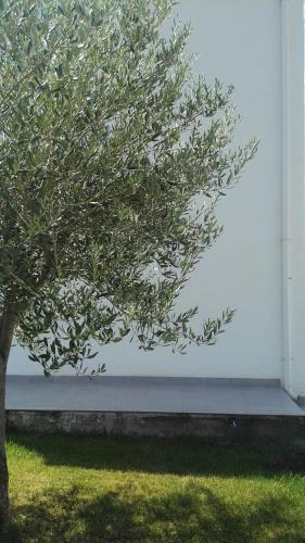 Apartamento Appartamenti C.da Reitani