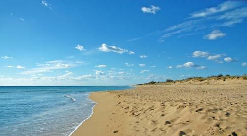 Confortevole E Grazioso Appartamento A Due Passi Dalla Spiaggia