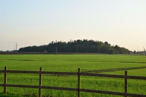 Ginevra's Country Home