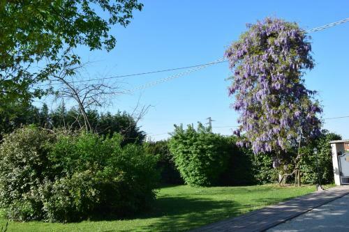 Ginevra's Country Home