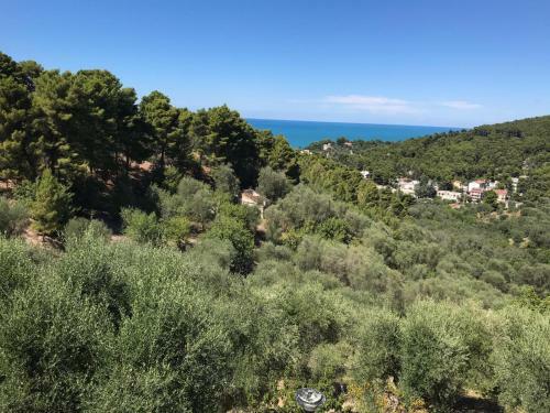 Apartamento Villa Pineta Vista Mare