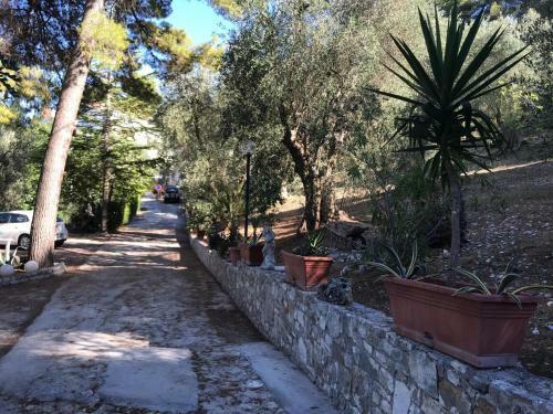 Apartamento Villa Pineta Vista Mare