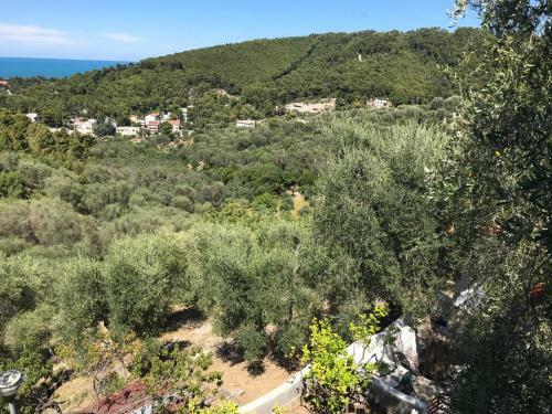 Apartamento Villa Pineta Vista Mare