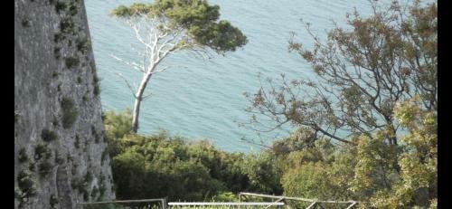 Apartamento Villa Pineta Vista Mare
