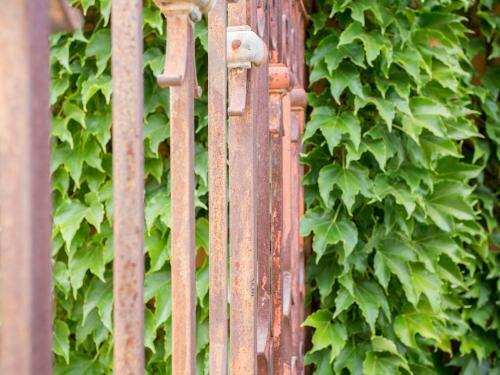 Hotel De Interior Ca�n Beia