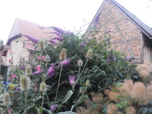 Apartamento A Country Retreat