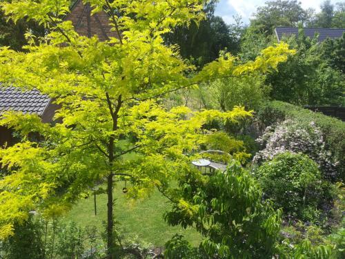 Apartamento A Country Retreat