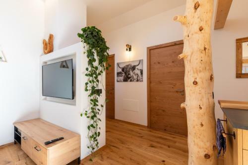 Apartamento Appartments Zum Beck