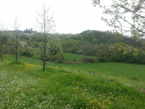 Casa Intera Tra Le Colline E Le Vigne Del Dolcetto