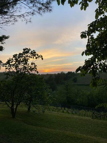 Casa Intera Tra Le Colline E Le Vigne Del Dolcetto