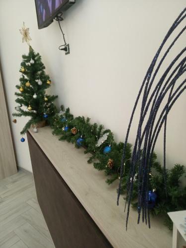 Apartamento Acquazzurra Affittacamere