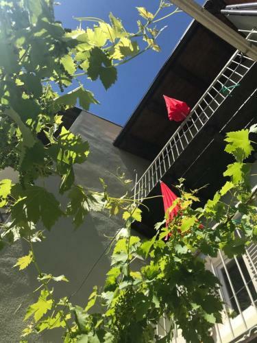 Hostal La Vite � Bella