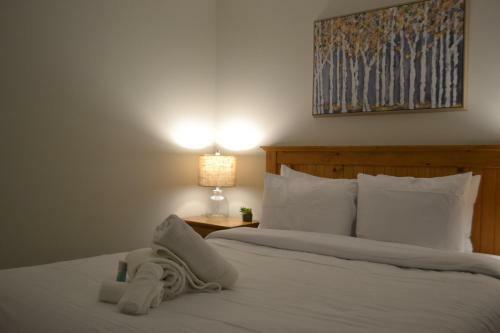 Elegant Apartment - View On Lake Tremblant & Mountain