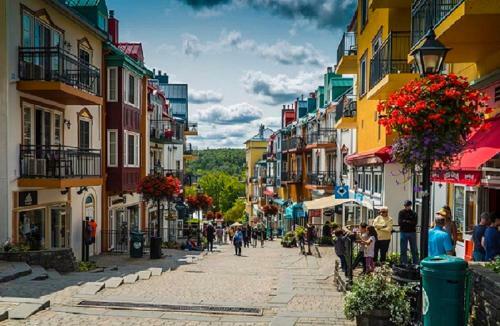 Elegant Apartment - View On Lake Tremblant & Mountain