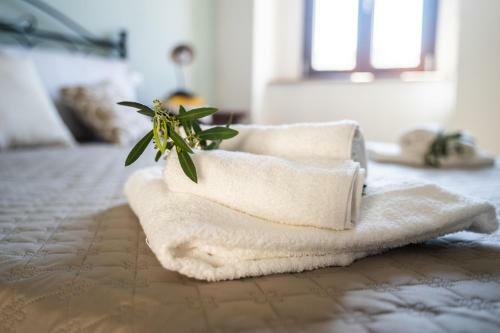 Agroturismo Il Madrigale - Agriturismo B&B