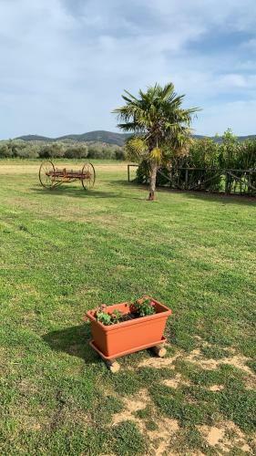 Agroturismo Agriturismo Mimosa