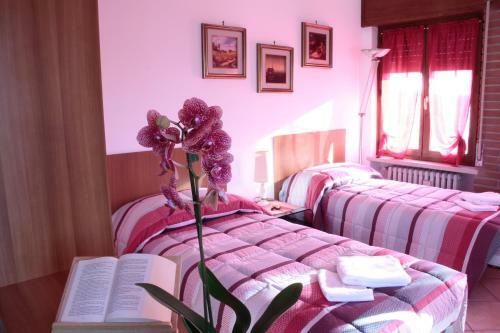 Apartamento Corte Graziella