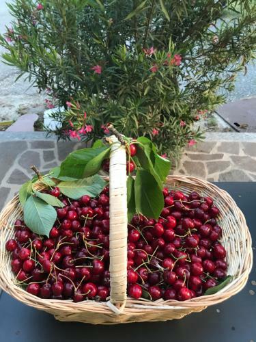 Bed & Breakfast La Casa Tra I Vigneti