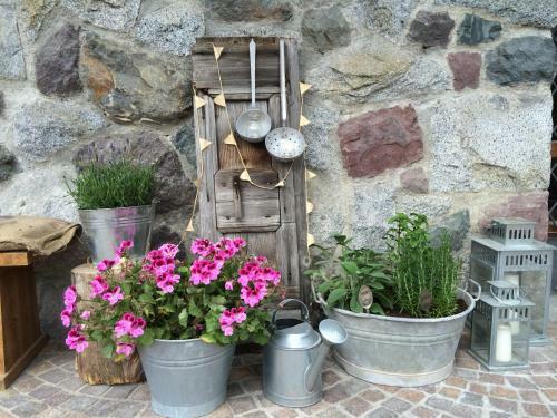 B&B Sotto Al Bosco