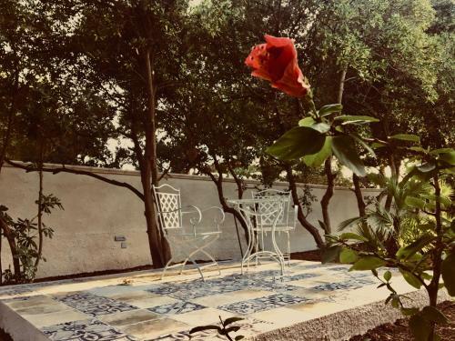 Hostal Erpi Vacanze Di Palmate' Cinzia