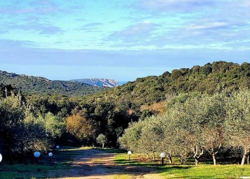 Villa Celeste / Private / Escape To Nature / Olive Groves / Sea Views