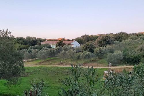 Villa Celeste / Private / Escape To Nature / Olive Groves / Sea Views