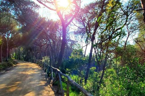 Villa Celeste / Private / Escape To Nature / Olive Groves / Sea Views