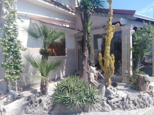 Villa Pino
