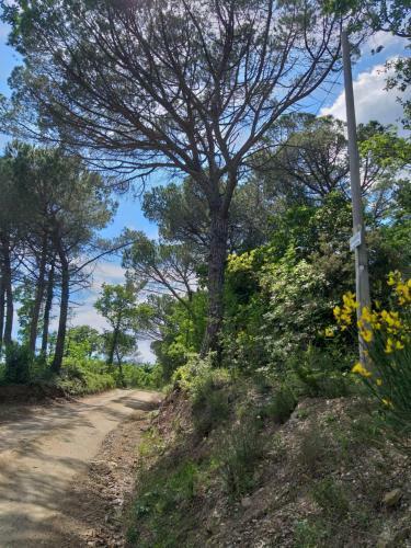Villa Chiantivillas Poggio A Vento
