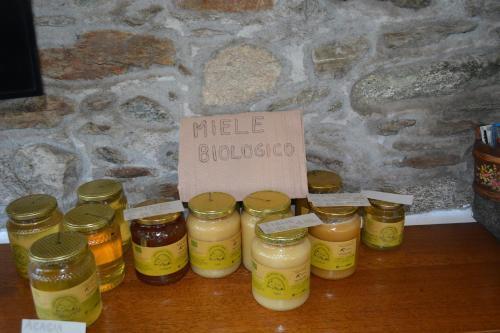 Apartmentslagodicomo