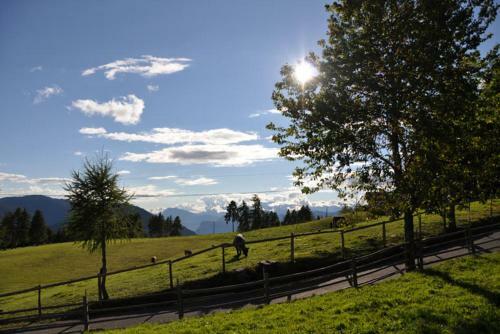 Apartamento Residence Scheidnerhof