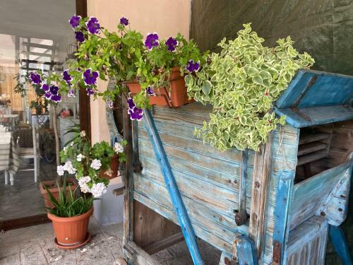 Hostal Come UNA Volta