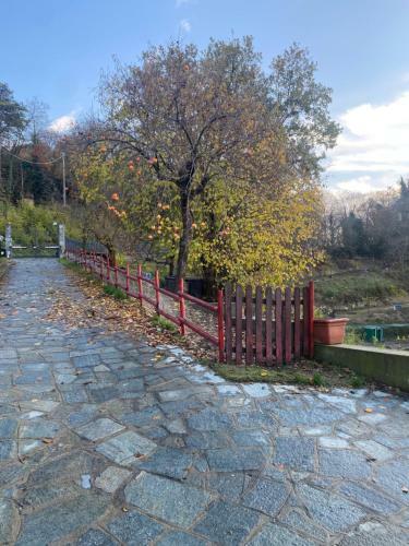Apartamento Appartamento In Cascina