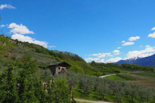 Fantastica Villa Fra Le Alpi Valtellinesi